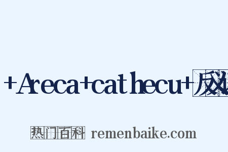 +Areca+cathecu+反义词是什么意思的图片